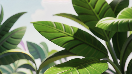 モンステラの育て方と注意点